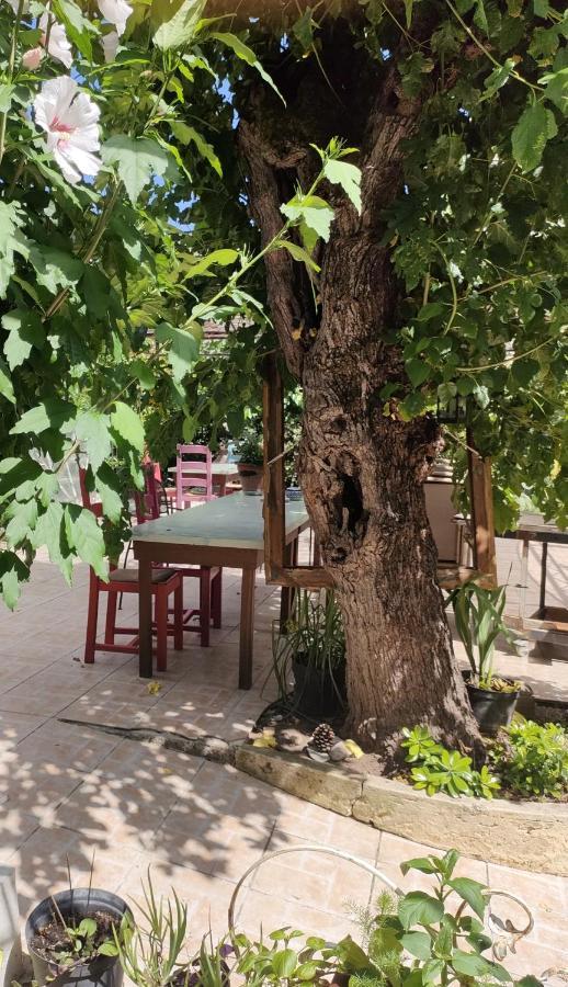 Chandolas Les P'Tits Velos Bed & Breakfast エクステリア 写真