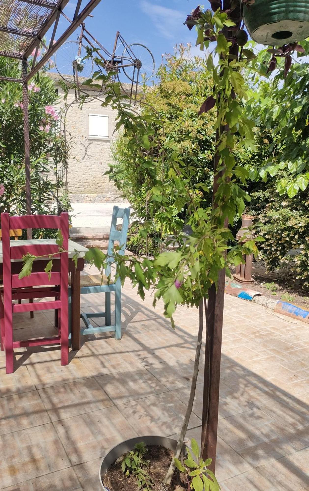 Chandolas Les P'Tits Velos Bed & Breakfast エクステリア 写真