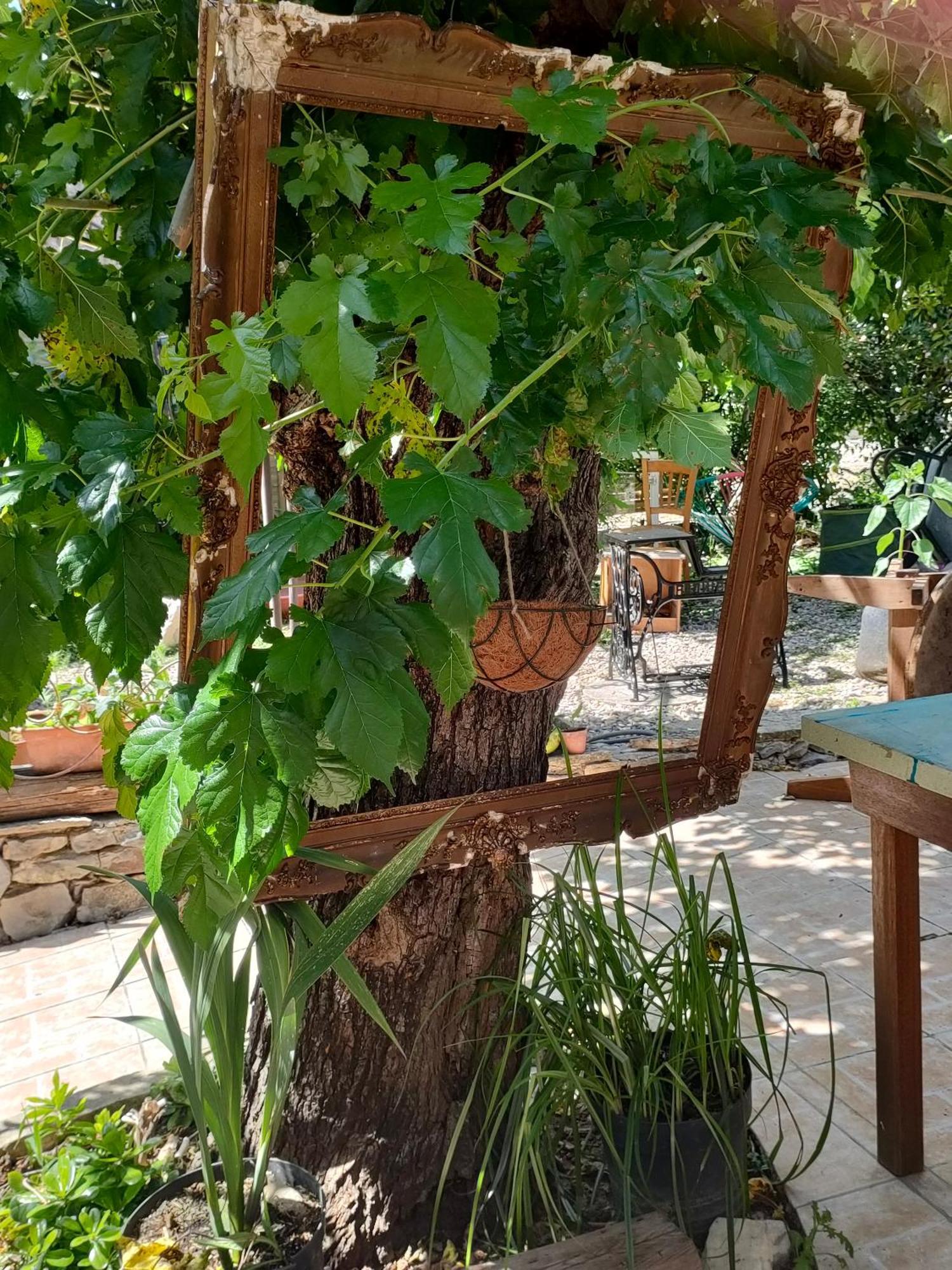 Chandolas Les P'Tits Velos Bed & Breakfast エクステリア 写真